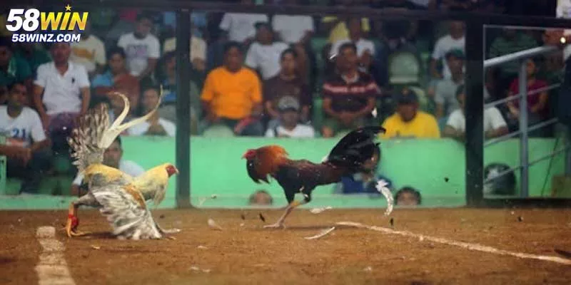 Sau khi hoàn tất đăng nhập, người tham gia sẽ được dẫn đến giao diện chính của hệ thống